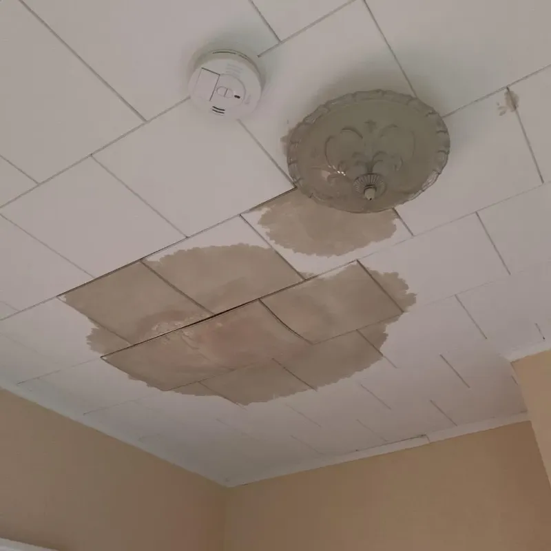 Ceiling Water Damage Repair in Pocasset, MA